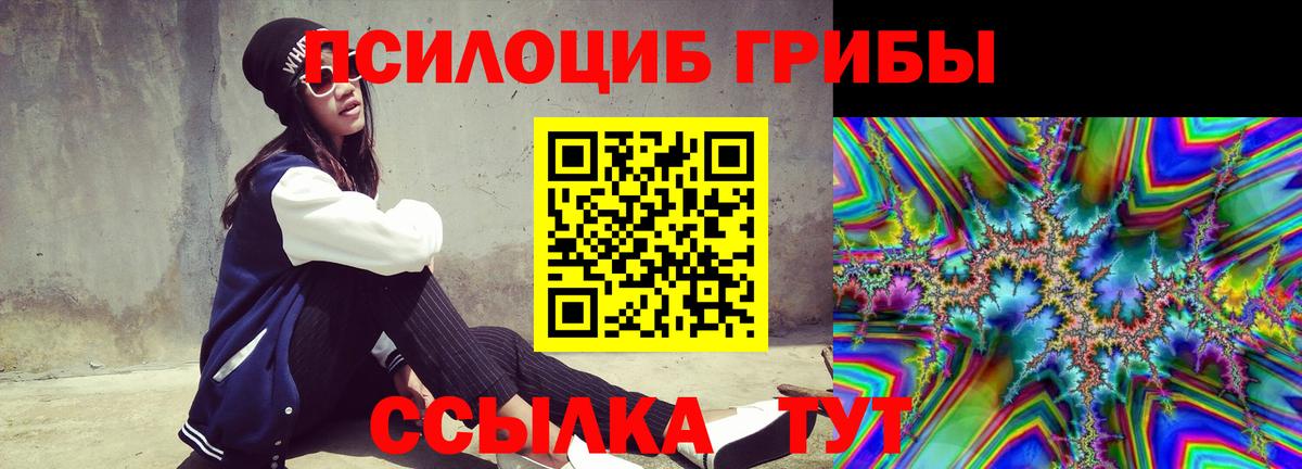 Псилоцибиновые грибы Psilocybine cubensis  Вход с VPN  где можно купить наркотик  Галлюциногенные грибы Cubensis  Сокол 