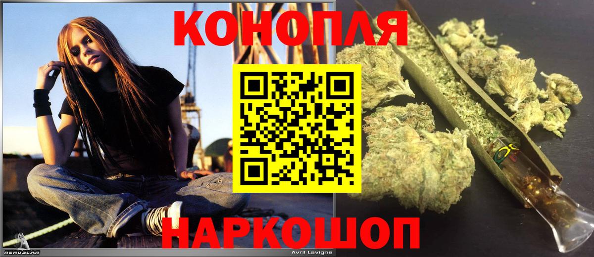 Сокол  Каннабис индика  Канабис гибрид  Шишки марихуана план  Канабис семена  Вход с VPN 