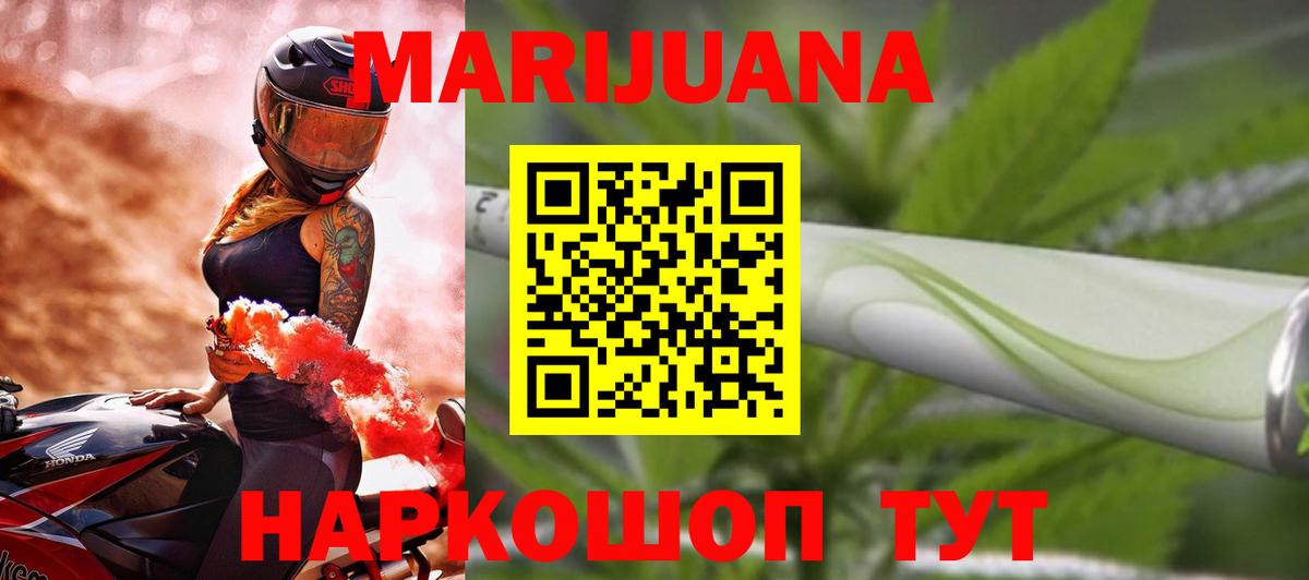 Каннабис сатива Сокол